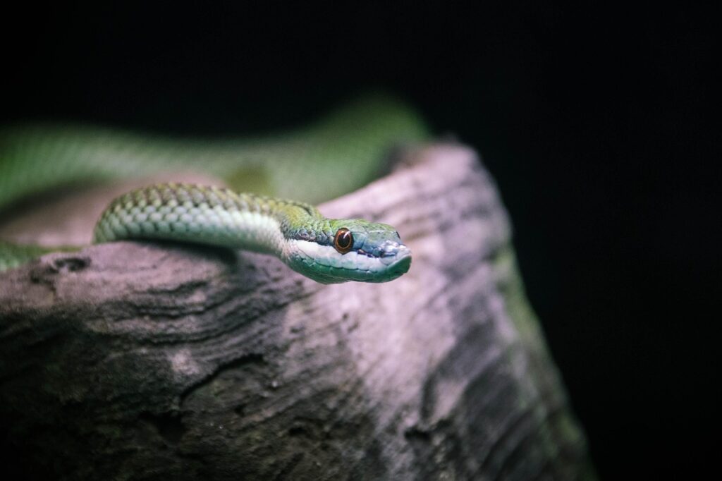 加齢臭をカバーする香水はどれがおすすめ？