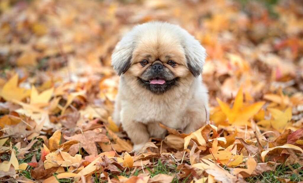 旦那の加齢臭がひどい時の効果的な対策は？