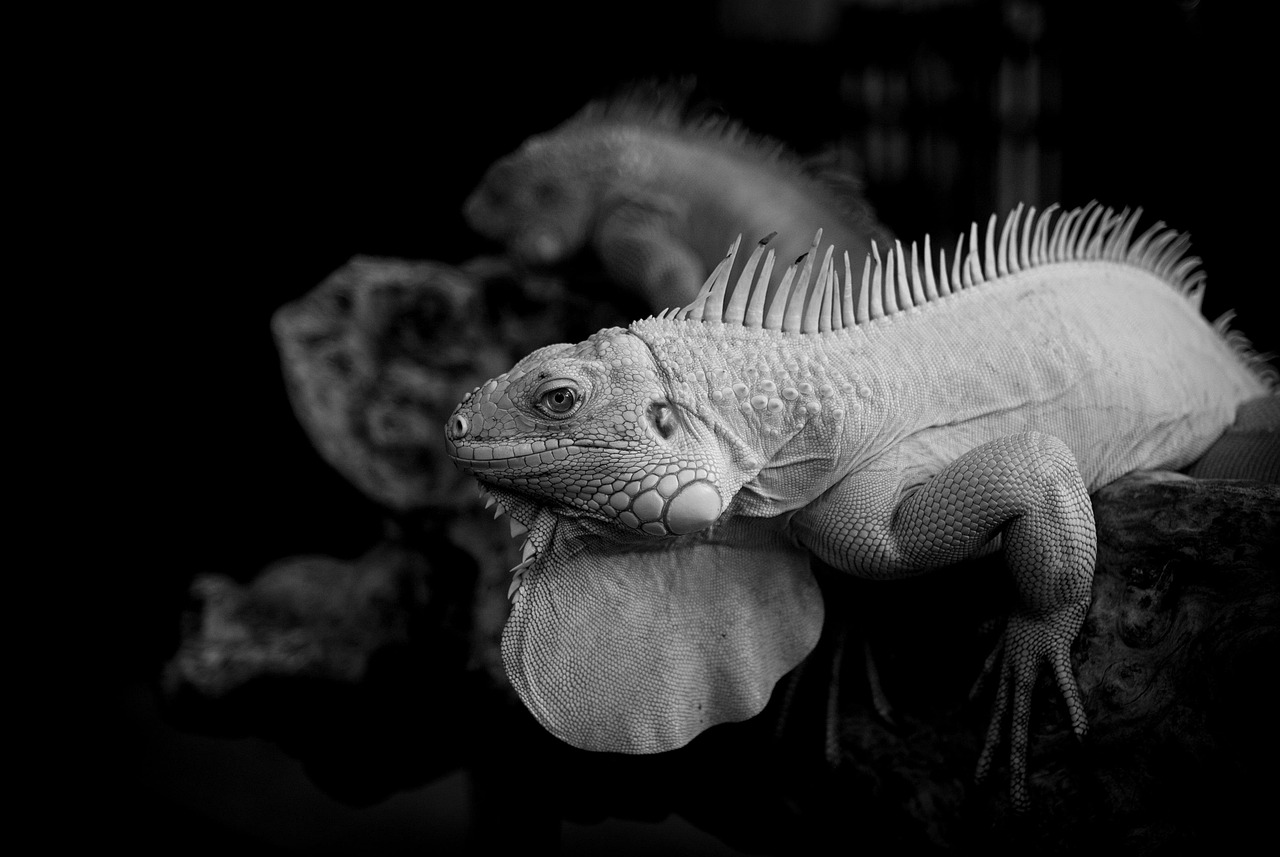 加齢臭対策に効果的なグッズおすすめは？