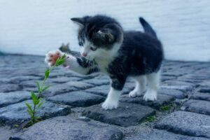 旦那の加齢臭が気になる！ベッドでできる対策は？